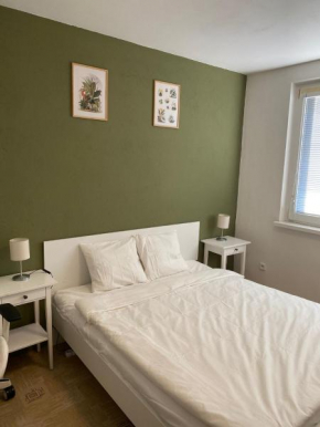 Cozy, bright room with free parking